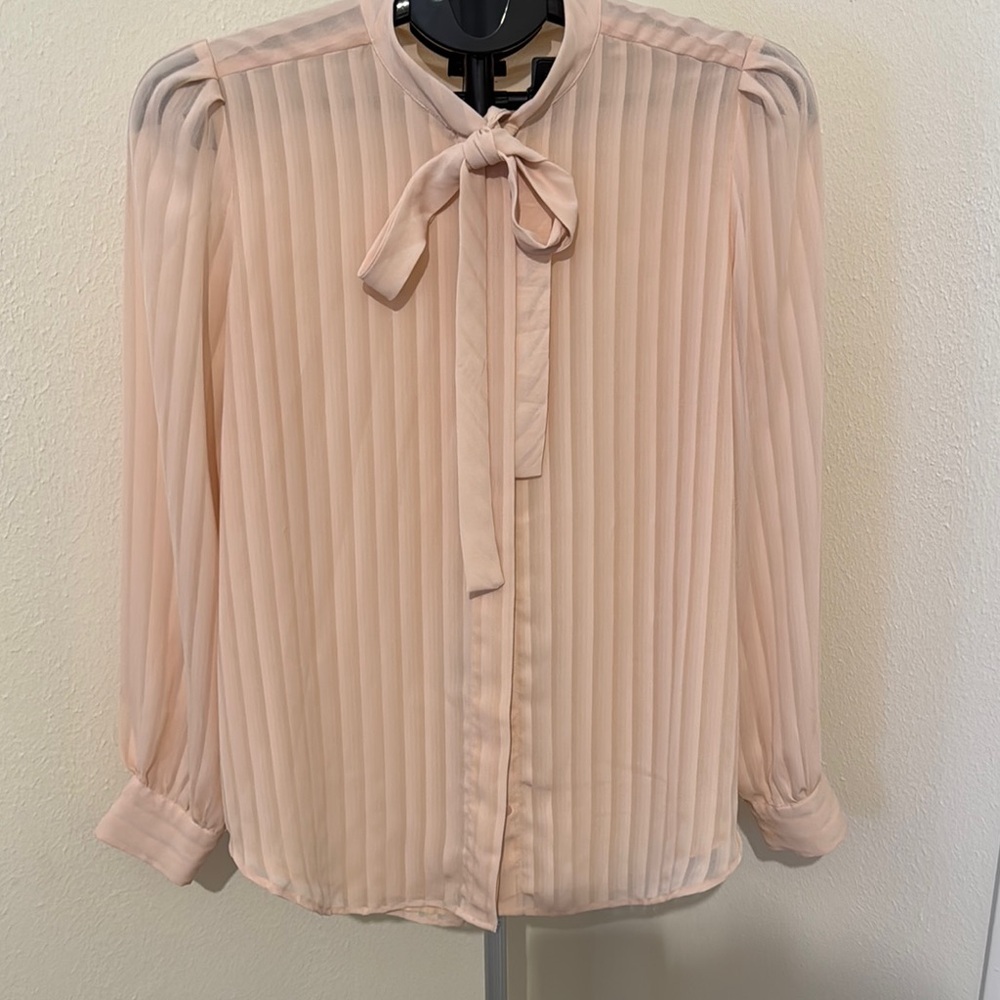 Ann Taylor Blush Pink Pleated Women's Top